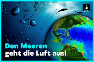 pferd orgasmus|Diese 12 Tiere masturbieren 